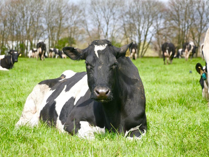 063817bb-9646-454e-b9b5-a190e8119ed3